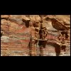 070515Jordanie044.JPG