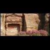 070515Jordanie118.JPG