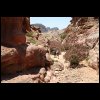 070516Jordanie040.JPG