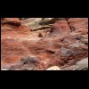 070516Jordanie044.JPG