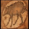 070516Jordanie059.JPG