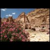 070516Jordanie065.JPG