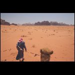 070517Jordanie016.JPG