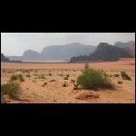 070517Jordanie034.JPG