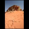 070518Jordanie069.JPG