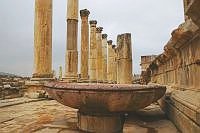 Dimanche 13 : Jerash et Ajloun